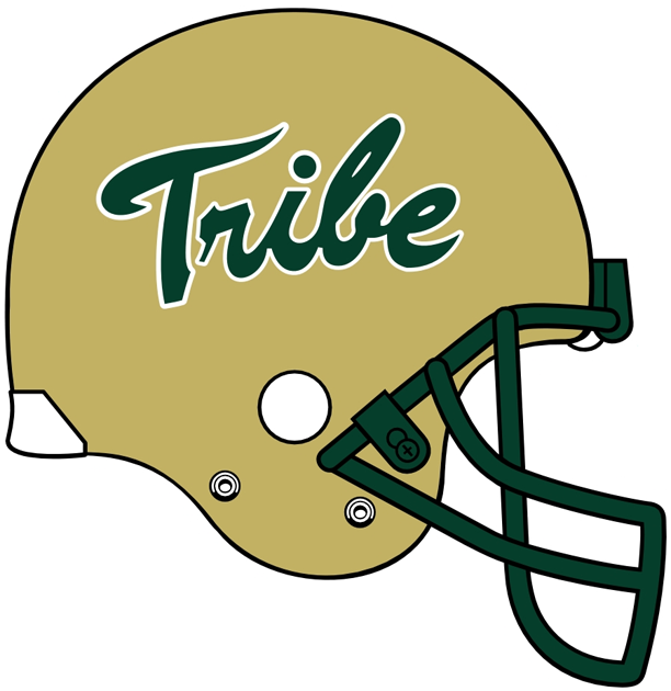 William and Mary Tribe 2009-Pres Helmet Logo iron on transfers for T-shirts